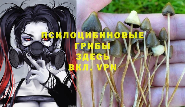 PSILOCYBIN Володарск